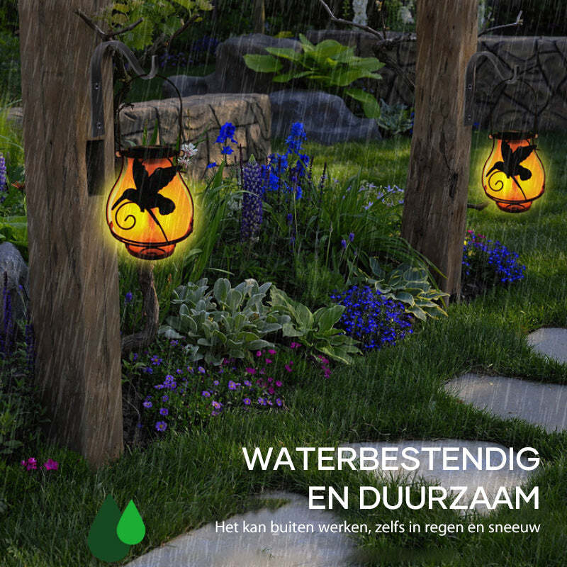 Charming Solar Radiance